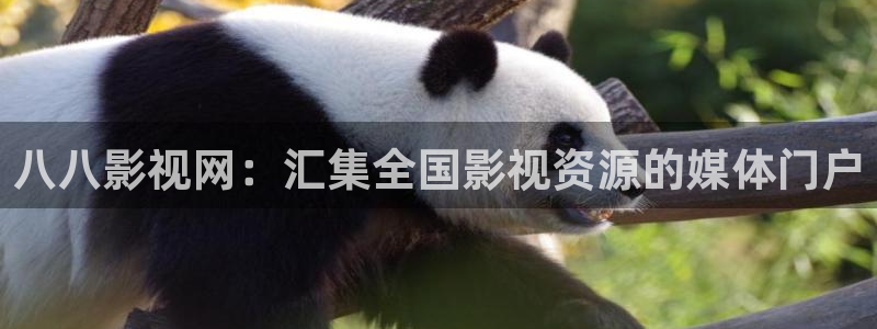 青柠在线观