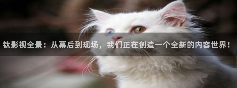 青柠檬影院