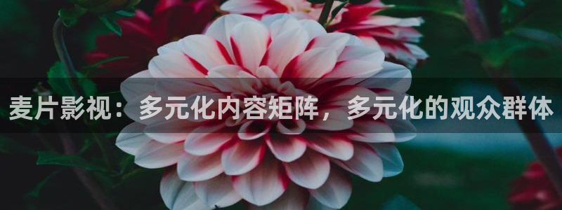青柠影院电视剧免费观看完整版：麦片影视：多元化内容矩阵，多元化的观众群体