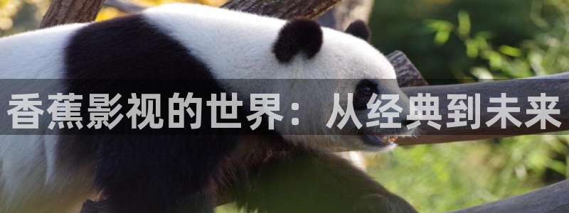 青柠影视在线观看：香蕉影视的世界：从经典到未来