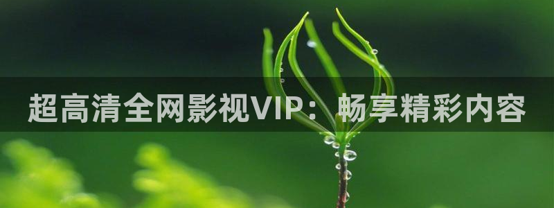 青柠在线影院：超高清全网影视VIP：畅享精彩内容
