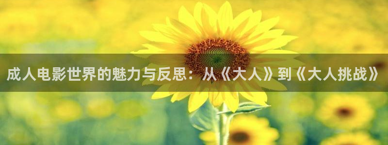 青柠影视最新免费：成人电影世界的魅力与反思：从《大人》到《大人挑战》