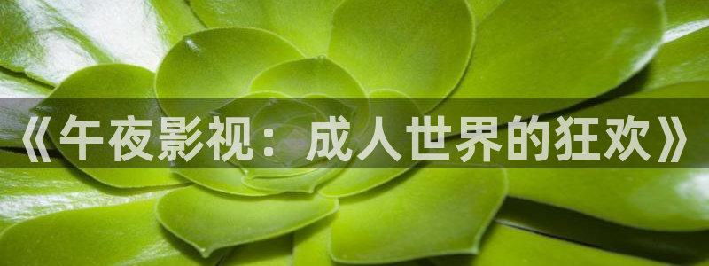 青柠影院在线观看免费高清完整：《午夜影视：成人世界的狂欢》